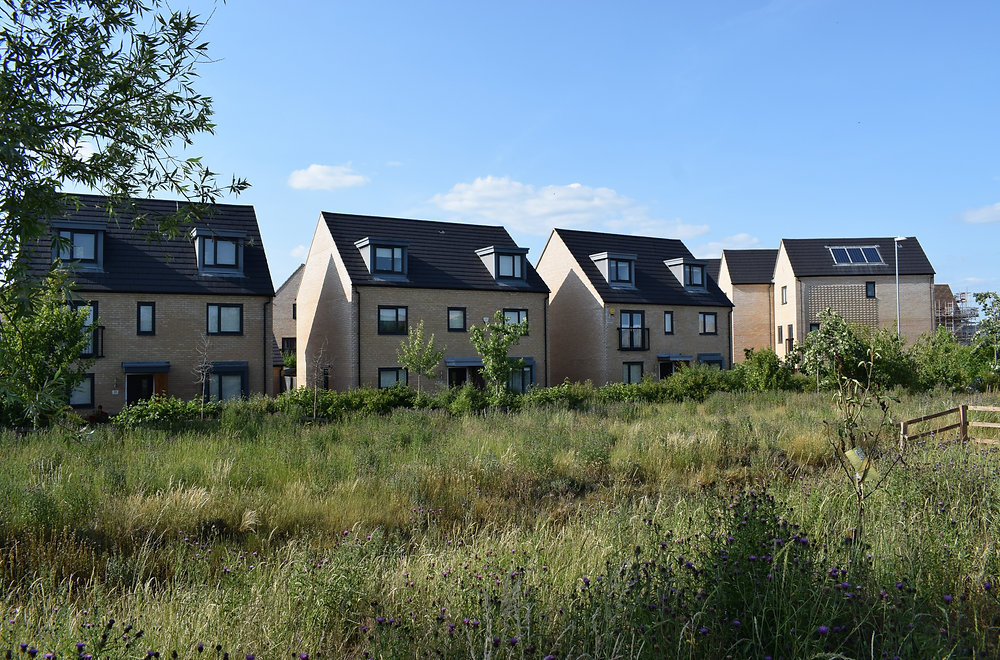 SuDS in 2026: How Sustainable Drainage Design Is Changing for Homeowners, Architects & Developers